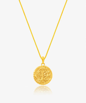Collier Sun Life